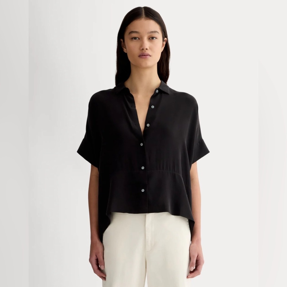 NWOT Everlane Washable Silk Shirt in Black, 4